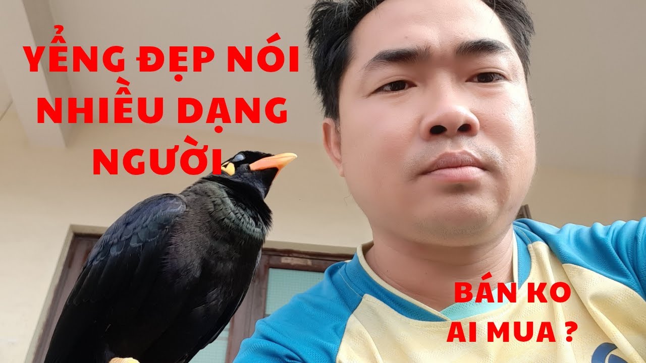 Nhồng Đẹp Dạng Người Nói Nhiều 