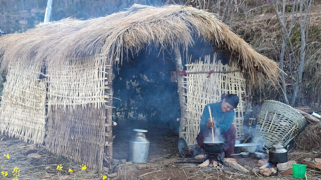 Himalayan woman making ghee from a cow | upper dolpa nepal ||
