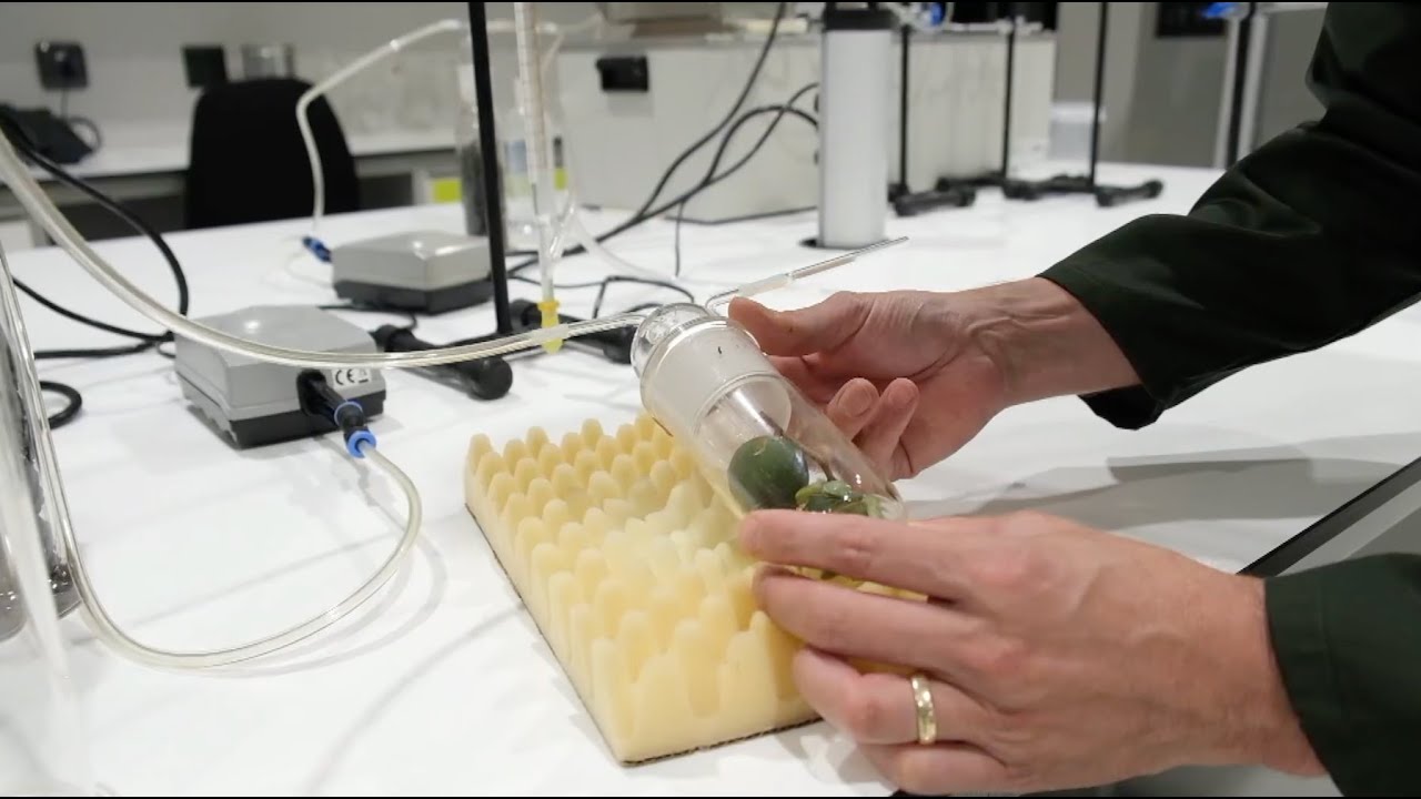 Insect Science: Responsible Pest Management™ for Farms