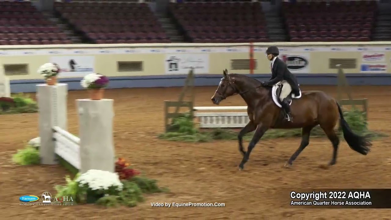 2022 Farnam AQHA and Adequan Select World Amateur Working Hunter