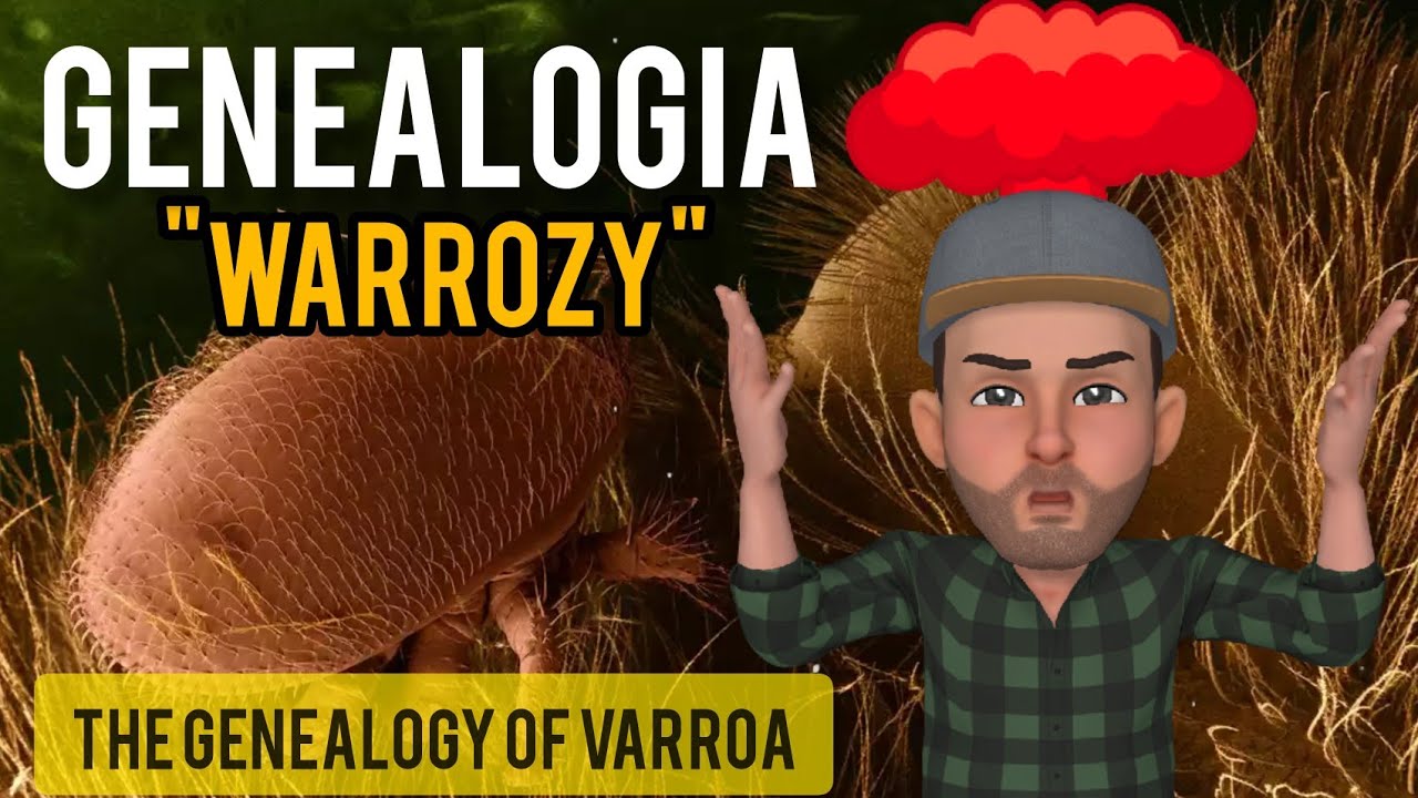 Varroa destructor genealogia #warroza #pszczoły #pasieka #varroa #destructor #genealogia
