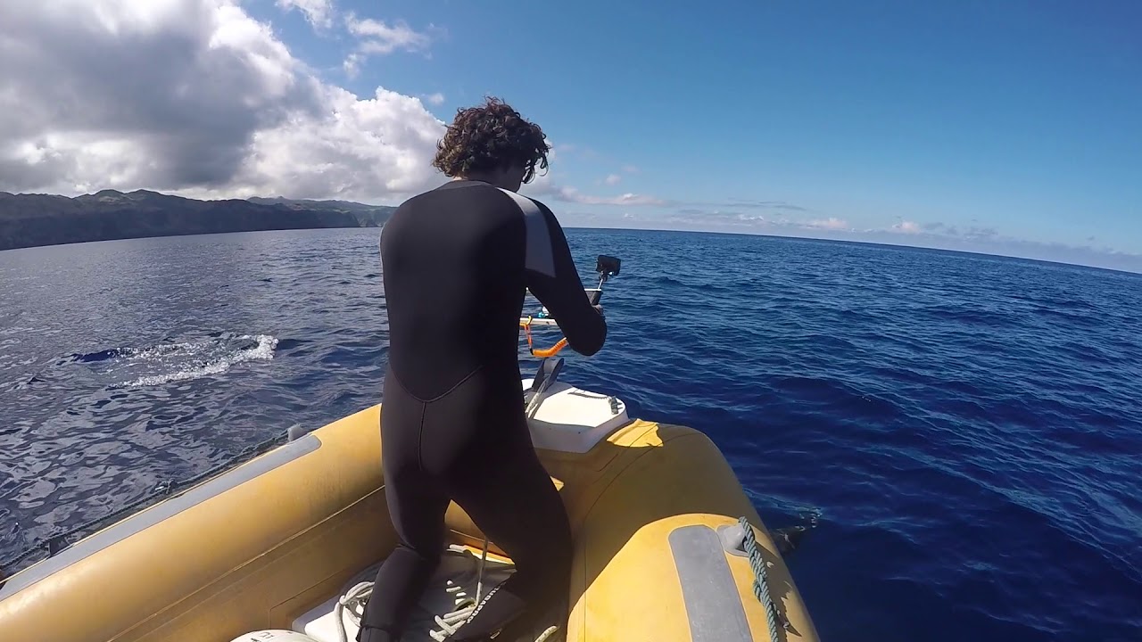 Scuba diving Santa Maria - Azores