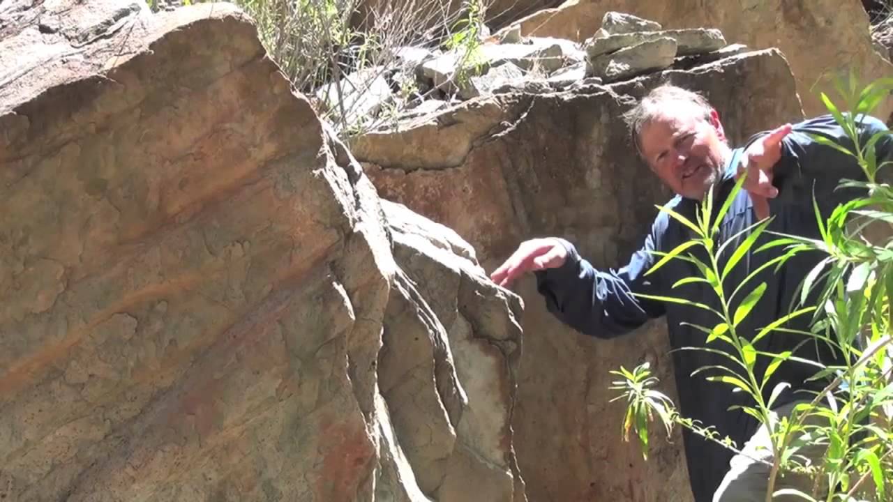 Trace fossils from trilobites