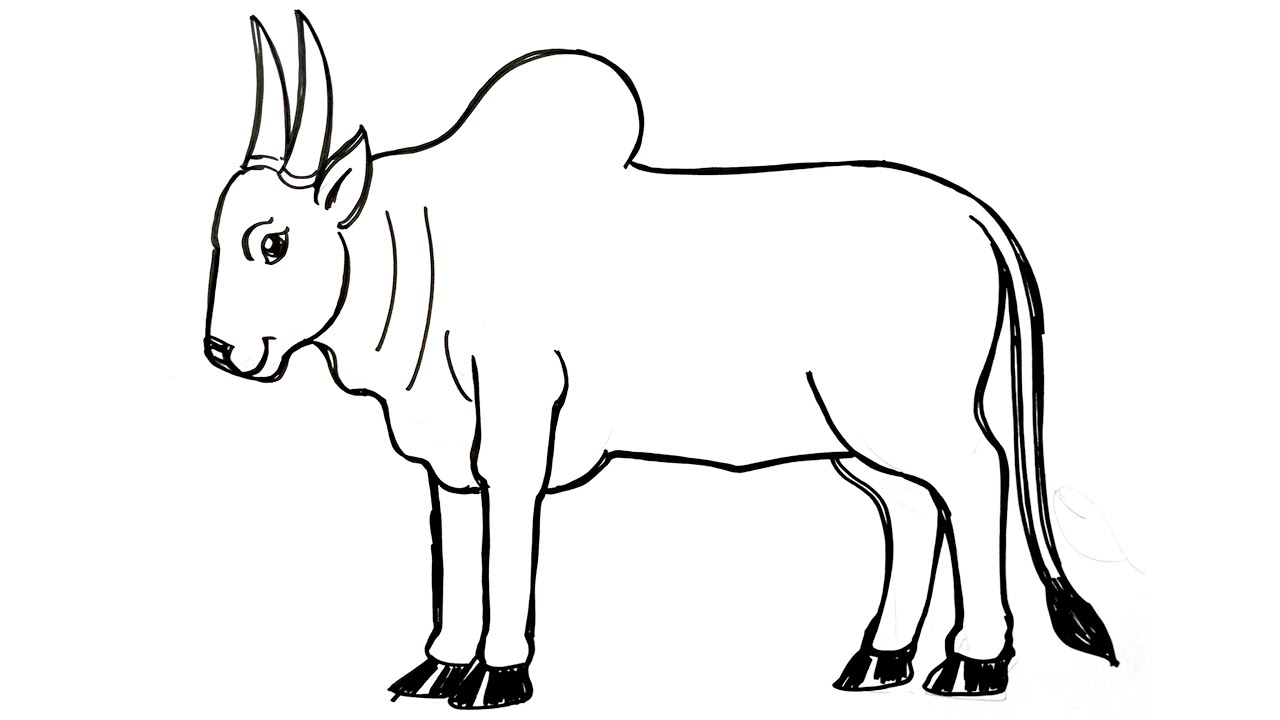 OX cow Drawing easy method / Pongal Festival Kolam