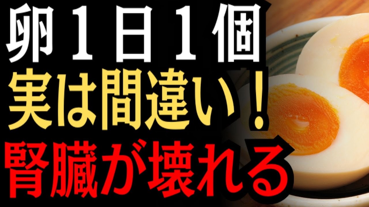 卵は腎臓の敵か、味方か？ 毎日ゆで卵を食べている人の末路と、腎臓を守るタンパク質の黄金比