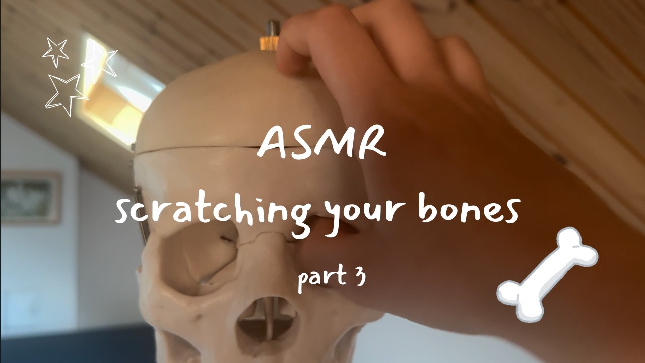 scratching ALL of your bones FAST 🩻 part 3 🦴 lofi asmr 💤