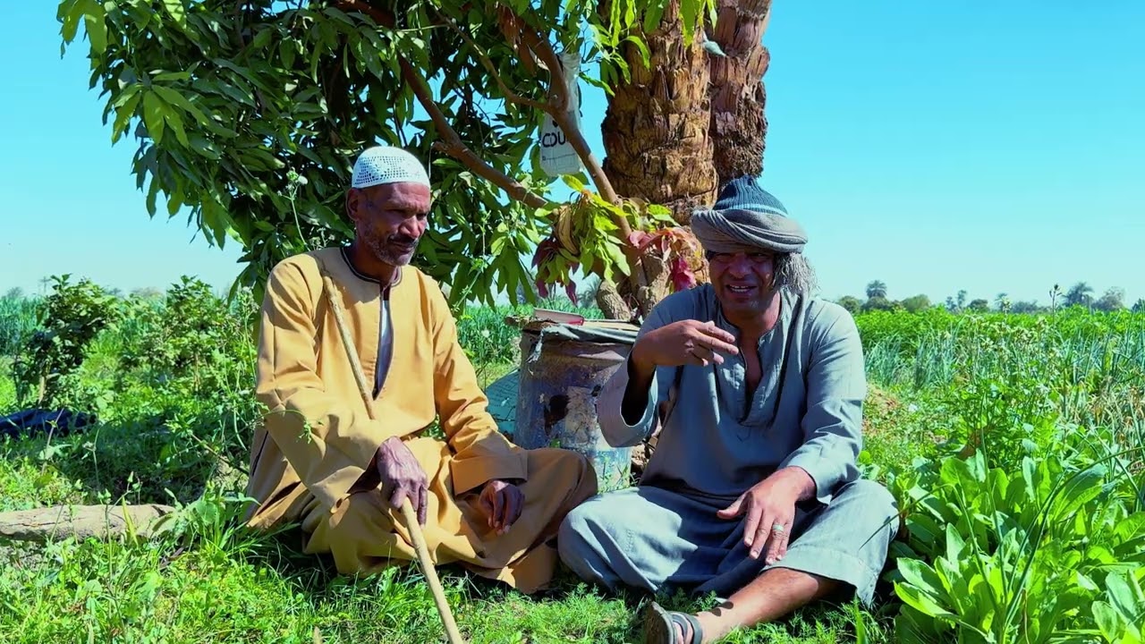 الحاج الضوى ضرب عبدالناصر فى نهار رمضان 😂😂😂