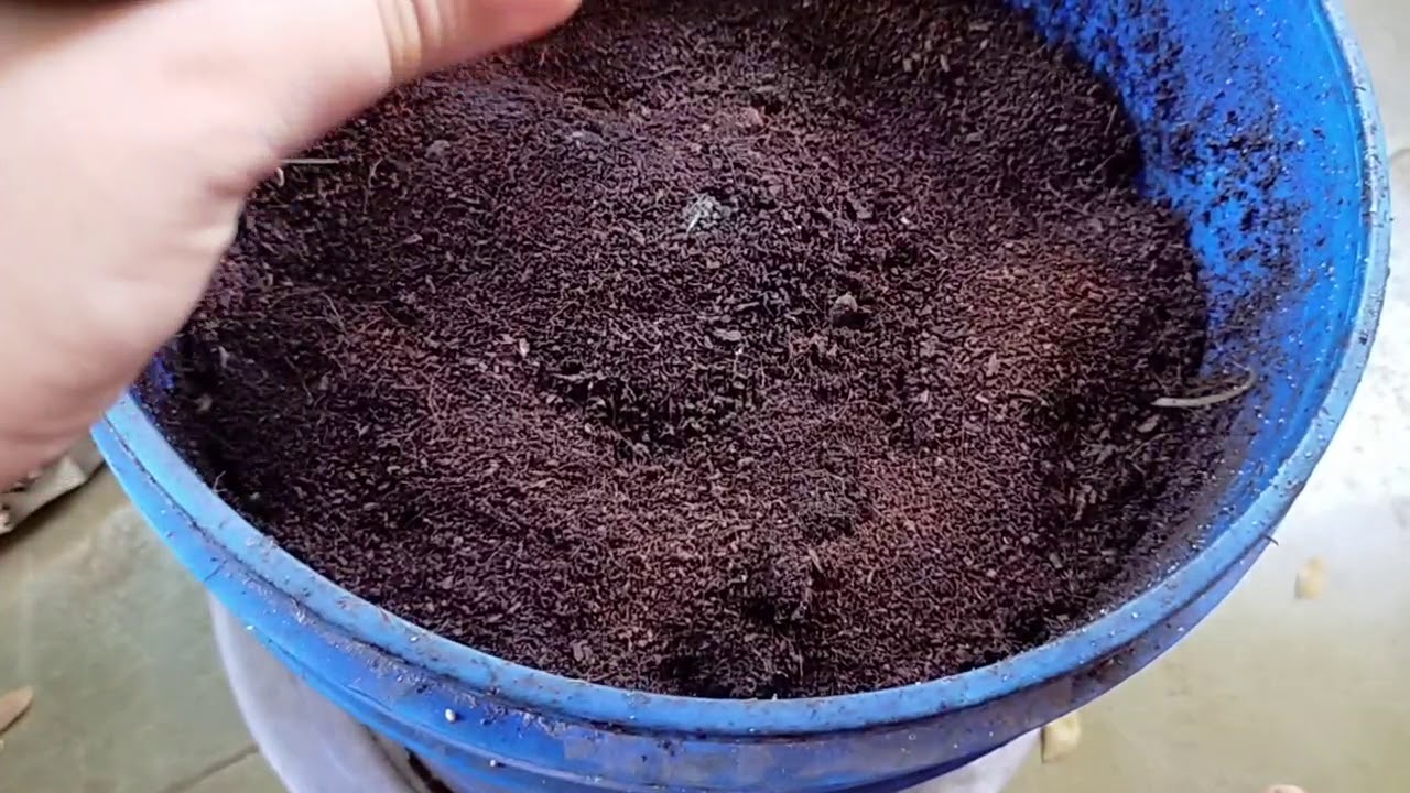 Simple Steps To Start Kitchen Composting Now