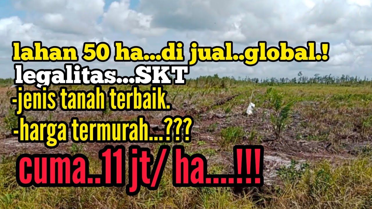 lahan murah satu hamparan.jenis tanah terbaik.lokasi dekat dg pusat kecamatan..mhs ketapang kalbar.