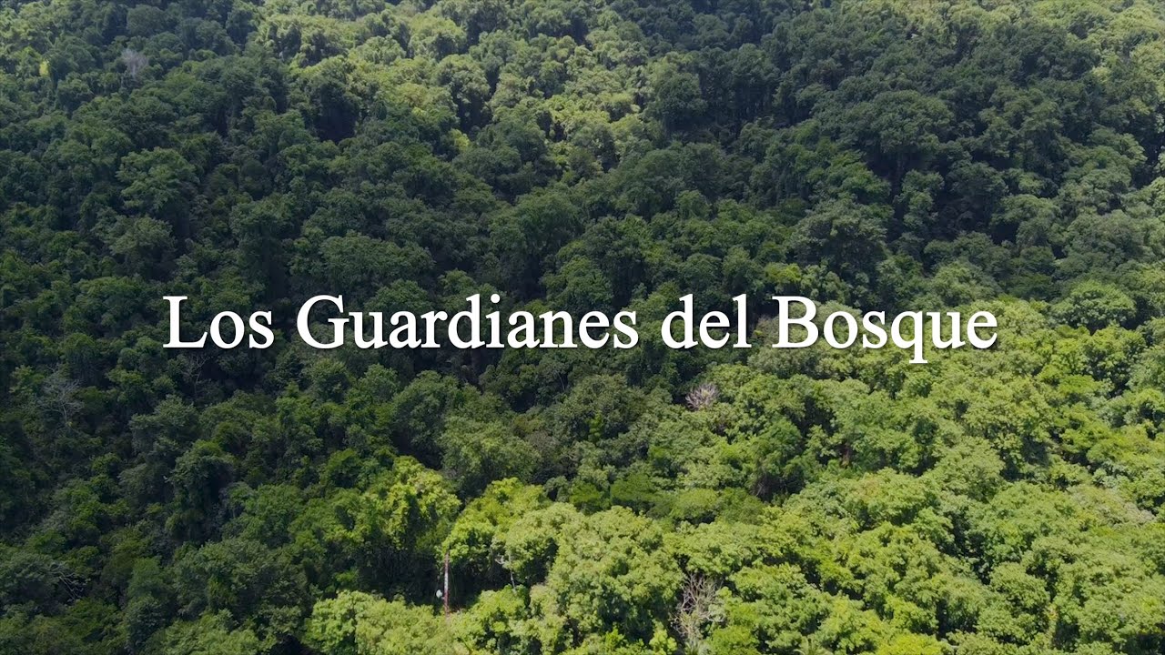 Los Guardianes del Bosque