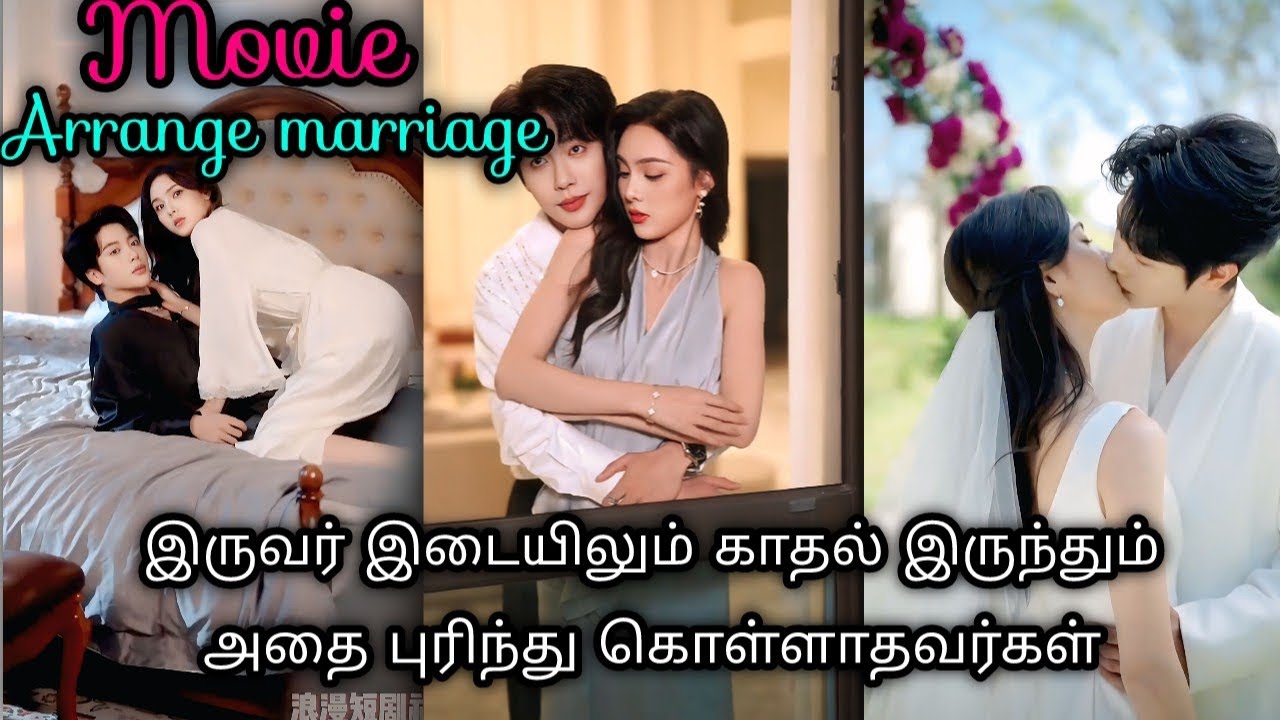 இருவர் இடையிலும் காதல் இருந்தும் அதை புரிந்து கொள்ளாதவர்கள் /Chinese drama explained in tamil 