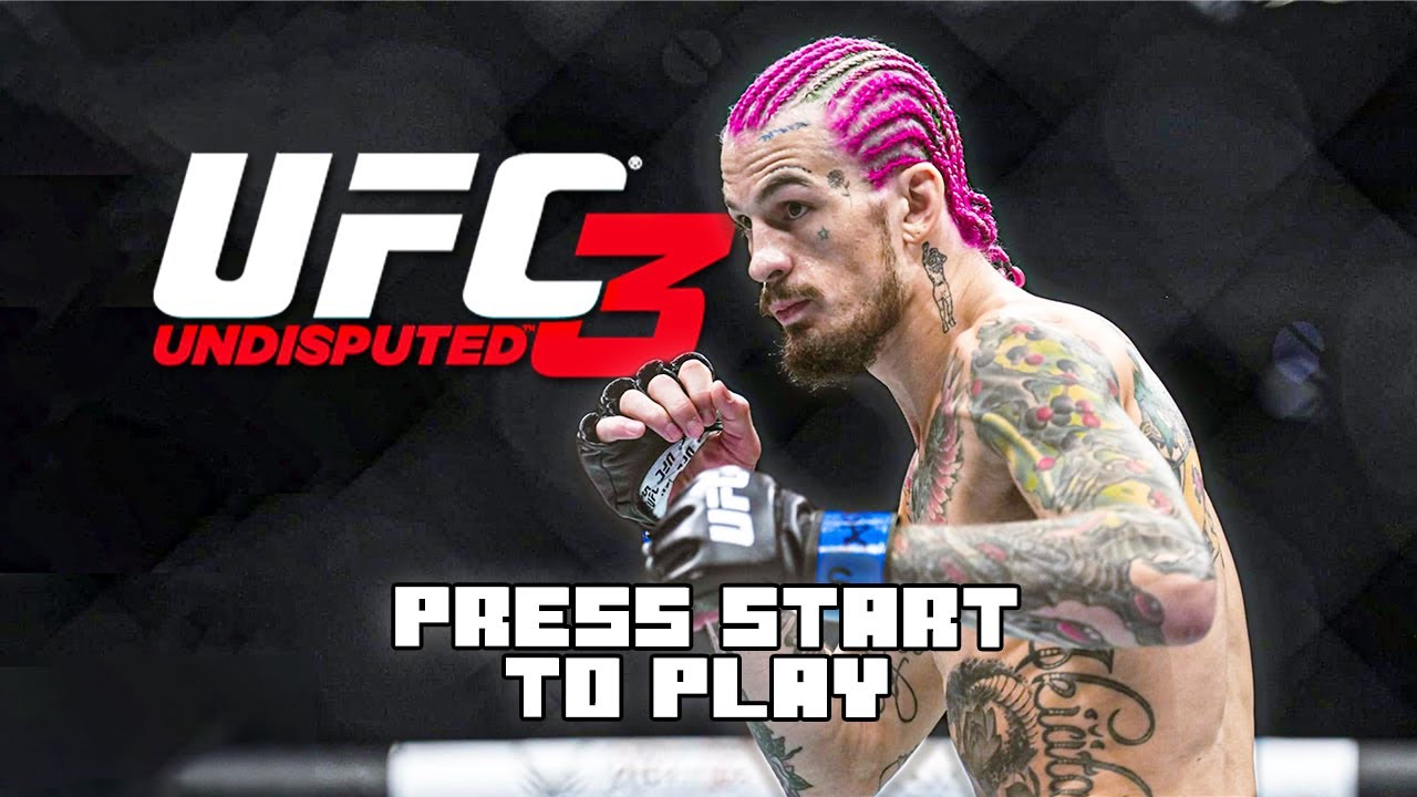HOW TO PLAY UNDISPUTED 3 ON PC