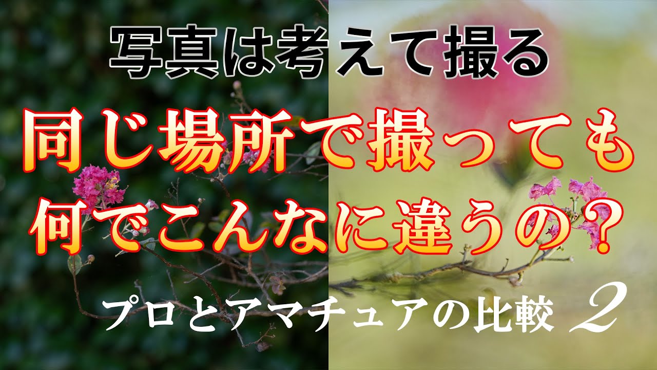 写真上達への道【第2弾！同じ場所で撮ってもこんなに違う！】上手い人はこう考えて撮る！プロとアマチュアの比較②