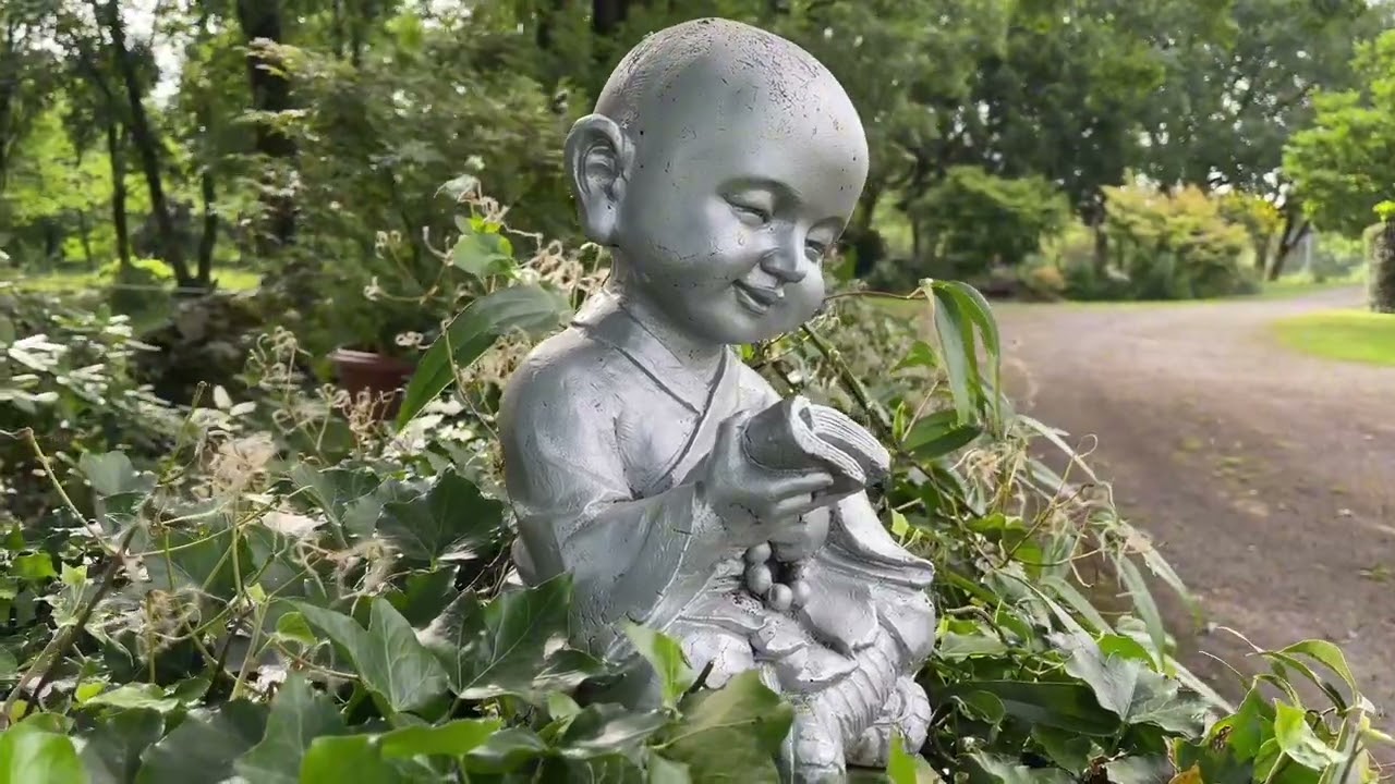 Passion Nature & Jardin Lys à Pranzac ! juin 2024 !