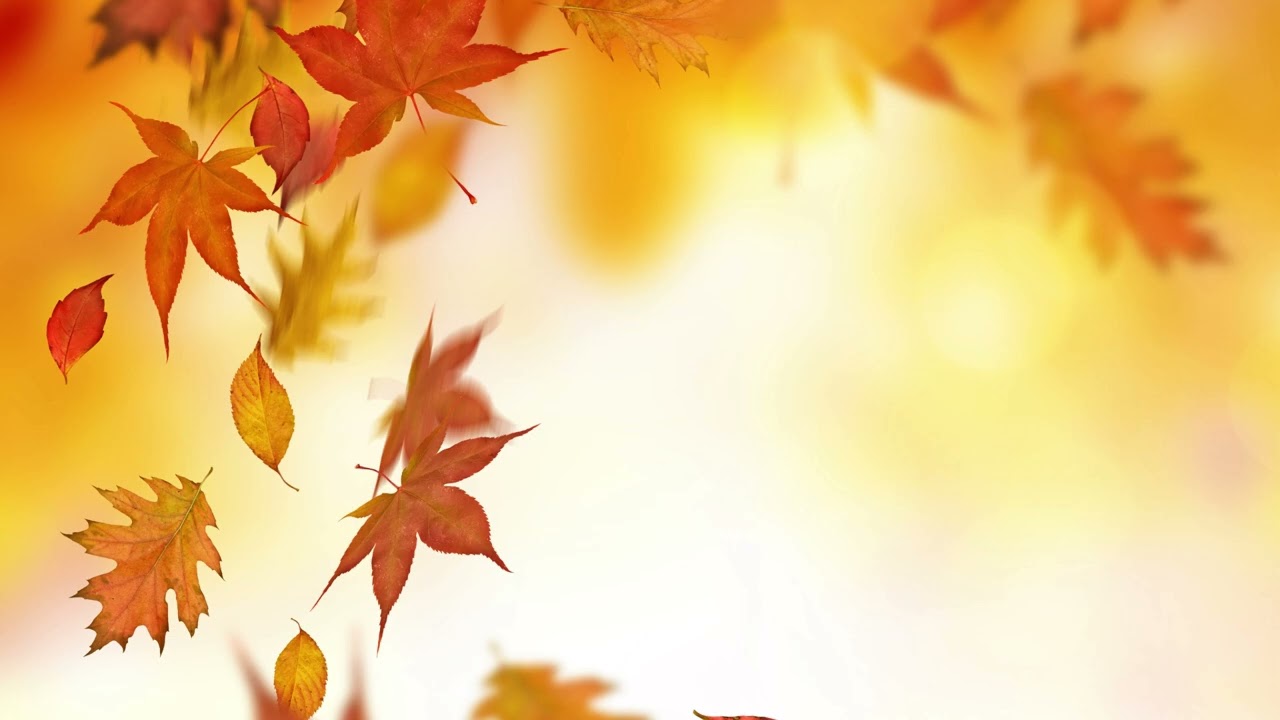 Fall Sun