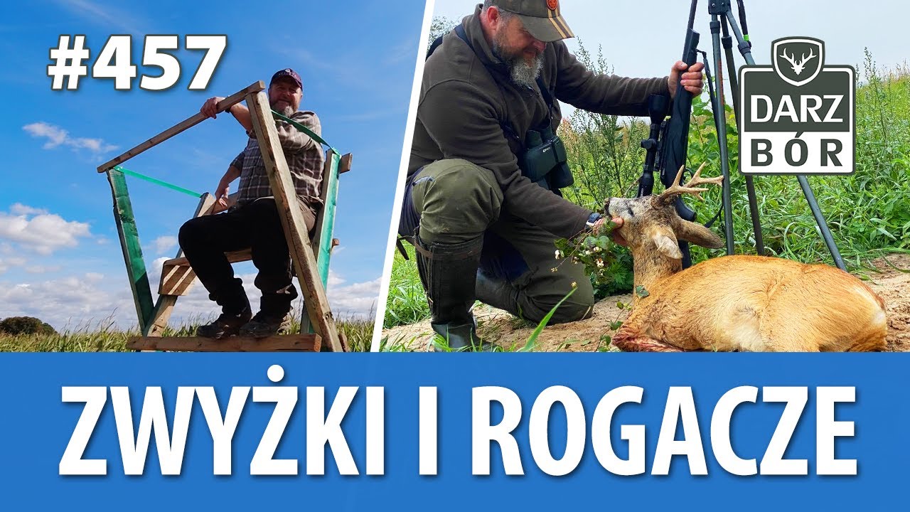 Darz Bór odc. 457 Zwyżki i Rogacze