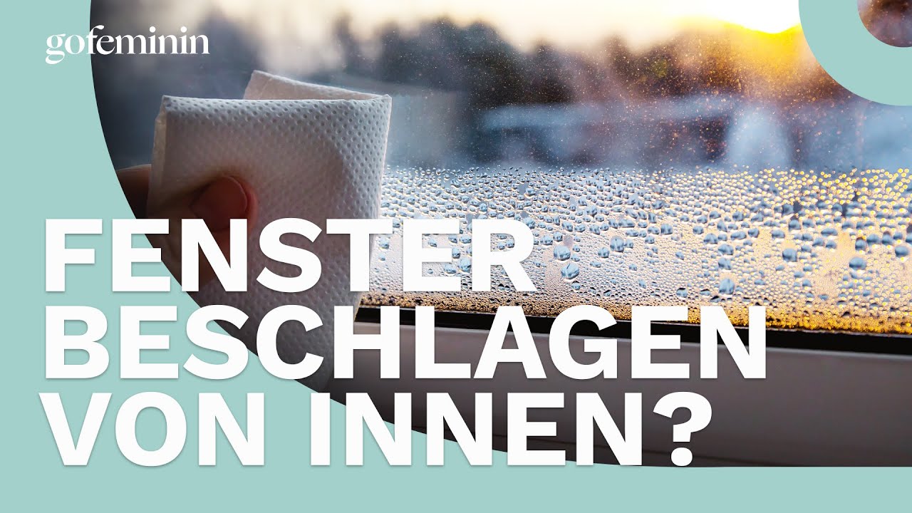 Kondenswasser am Fenster: So kannst du die Luftfeuchtigkeit senken