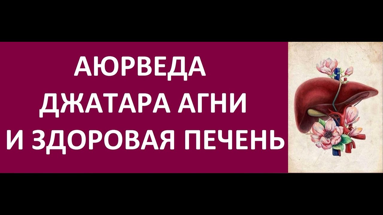 АЮРВЕДА: ДЖАТАРА АГНИ И ЗДОРОВАЯ ПЕЧЕНЬ! НАТАЛЬНАЯ КАРТА Kulikova