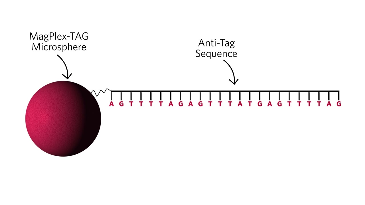 xTAG Technology Overview