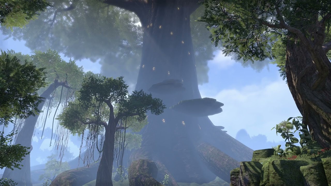 ESO Ambience and Music Elden Root Grahtwood Day