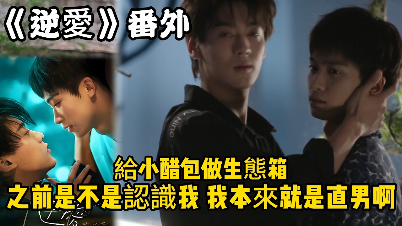 《逆愛》：番外！（24）給小醋包做生態箱，你之前是不是認識我，我本來就是直男啊！#田栩宁 #梓渝 #吴所畏 #池骋 #逆爱 #revenged
