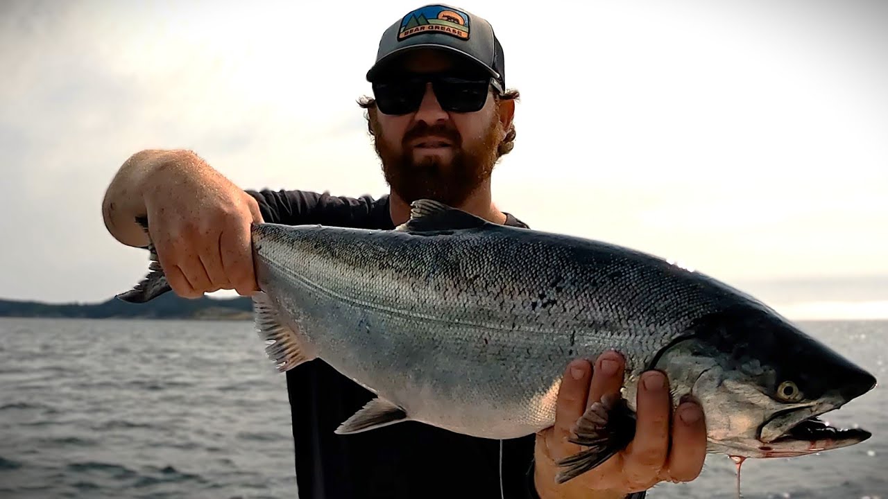 Vancouver Island Salmon Fishing | Chinook + Coho
