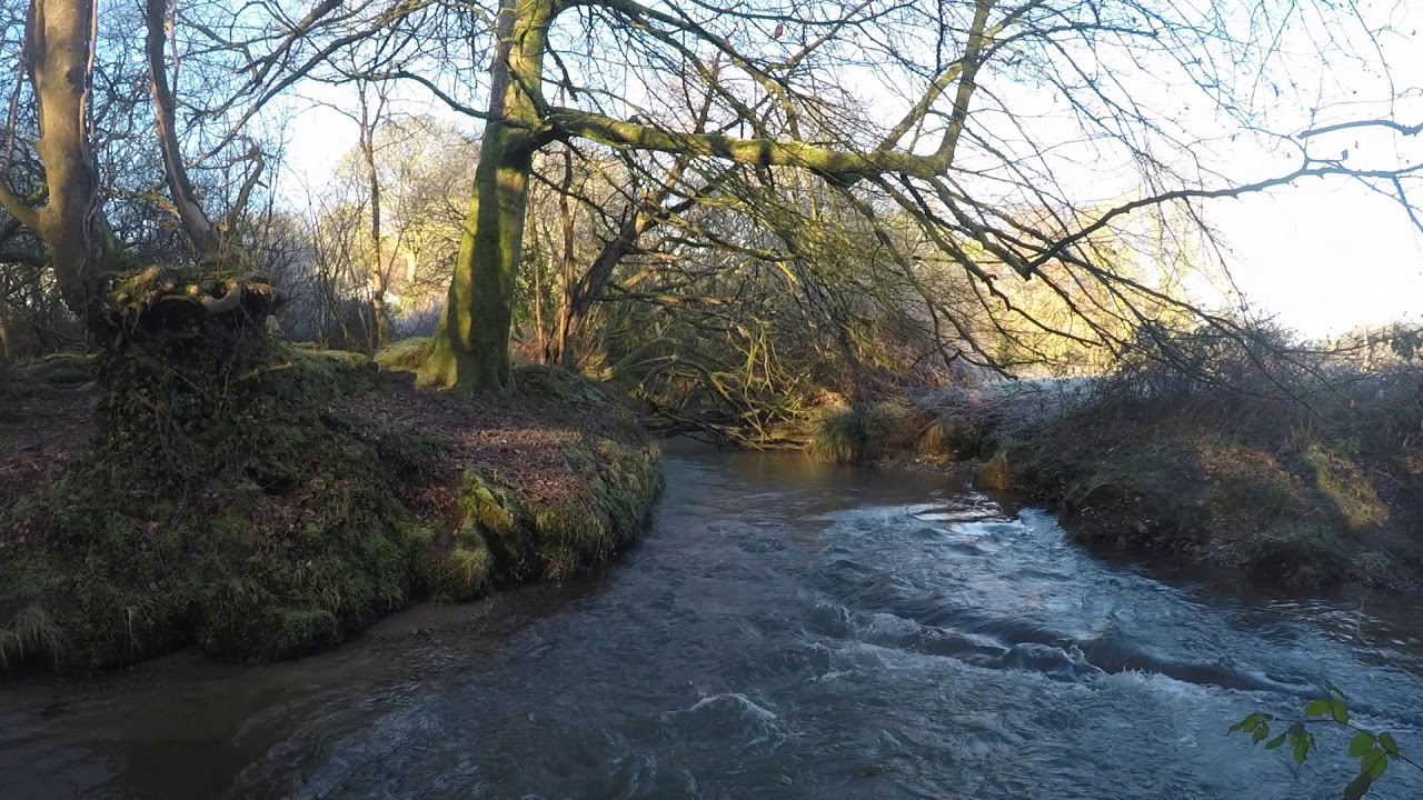 Stream Sounds and UK Winter Wildlife