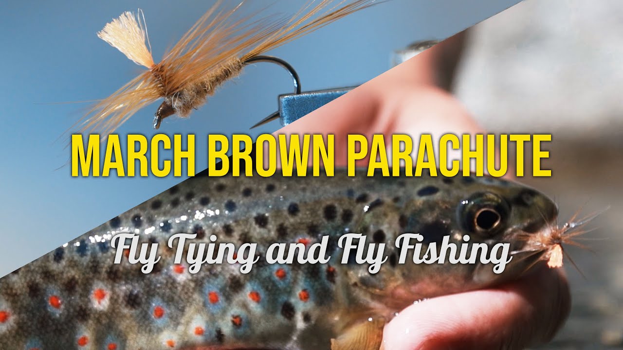 March Brown Parachute - Fly Tying & Fly Fishing