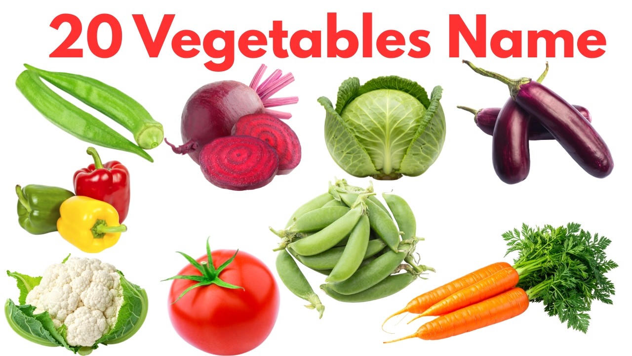 20 सब्जियों के नाम सीखें बच्चों के लिए | Learn 20 Vegetables Names in Hindi and English for Kids