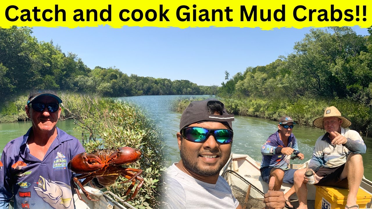 Catching and cooking giant mud crabs in remote Australia | The MAGnificent Show