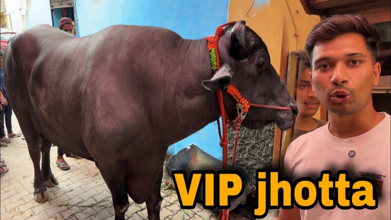 Itna bada jhotta mene aaj tak nahi dekha || @Bull.Rider-Vlogs