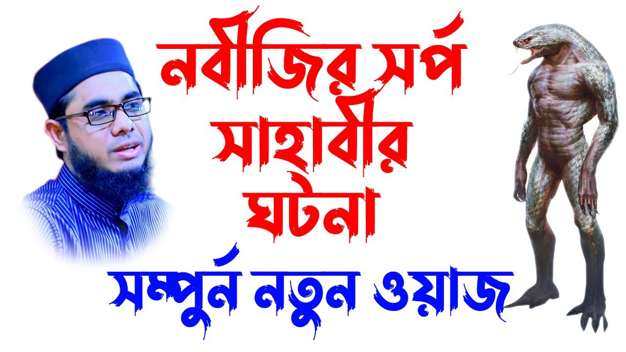mufti mawlana shahidur rahman mahmudabadi bangla waz download  | BD WAZ নবীজির সর্প সাহাবীর কাহিনী