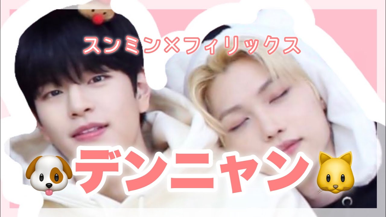 【Stray Kids】デンニャンの魅力つめあわせ🐶🐱［スンミン×フィリックス Seungmin×Felix］［スキズ 日本語字幕］