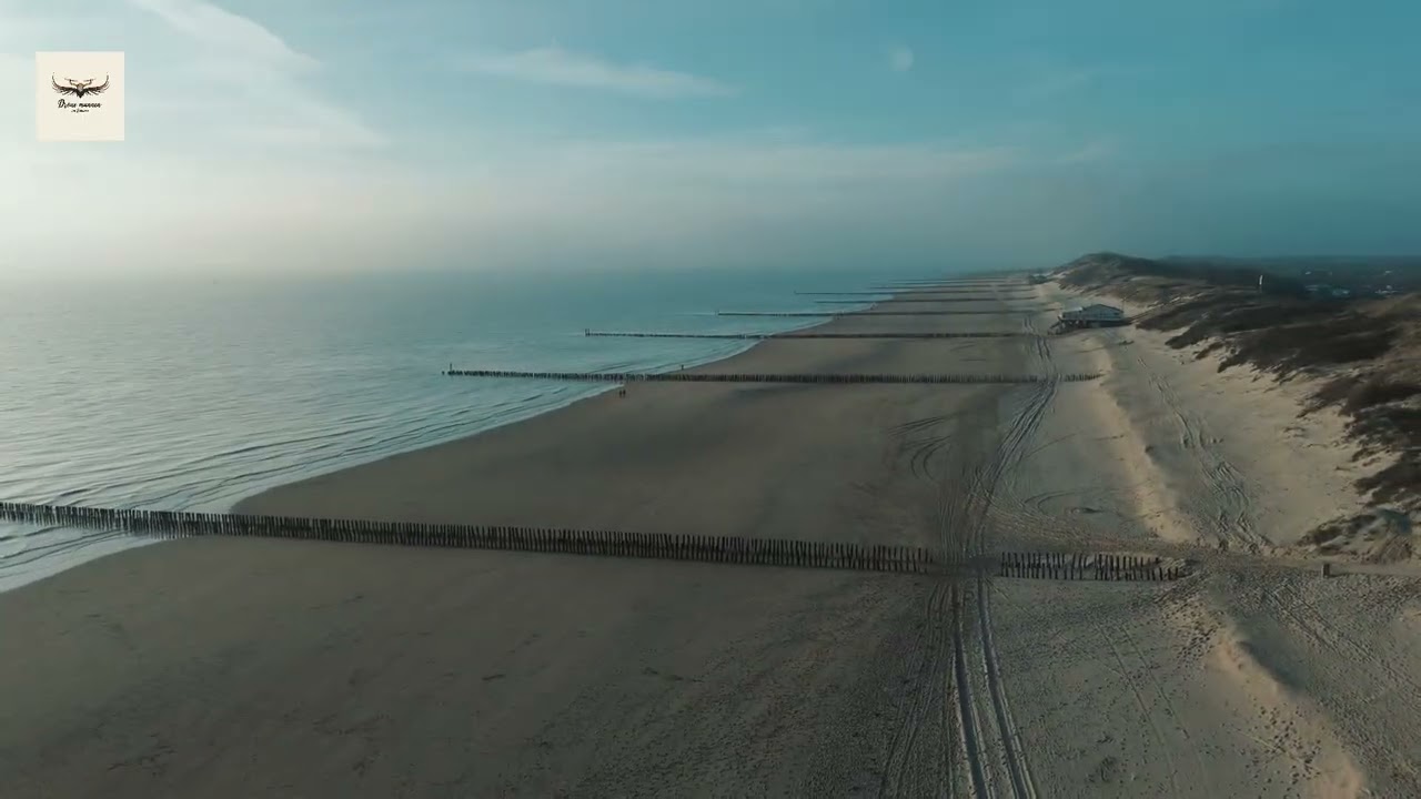 zoutelande strand  25-1-2026 