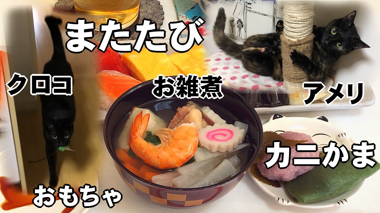 お正月なので猫と戯れながらお雑煮作った【2021年1月1日】
