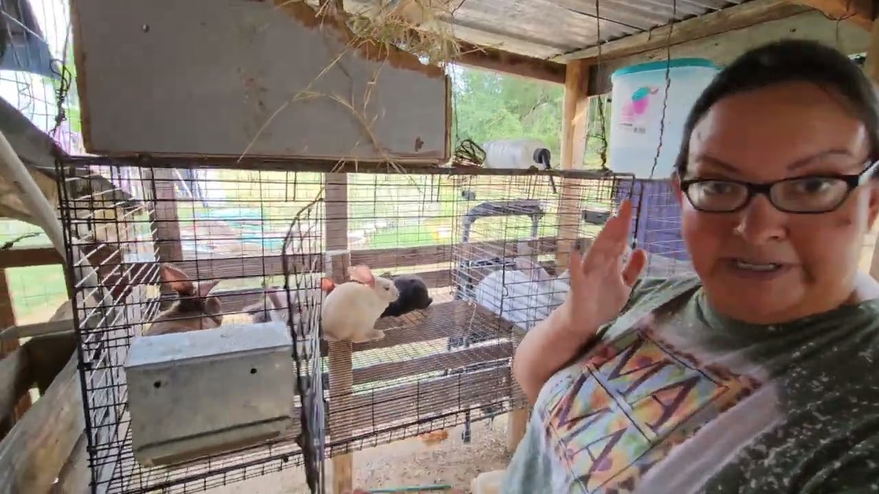 Rabbit Barn tour, no charge to you.