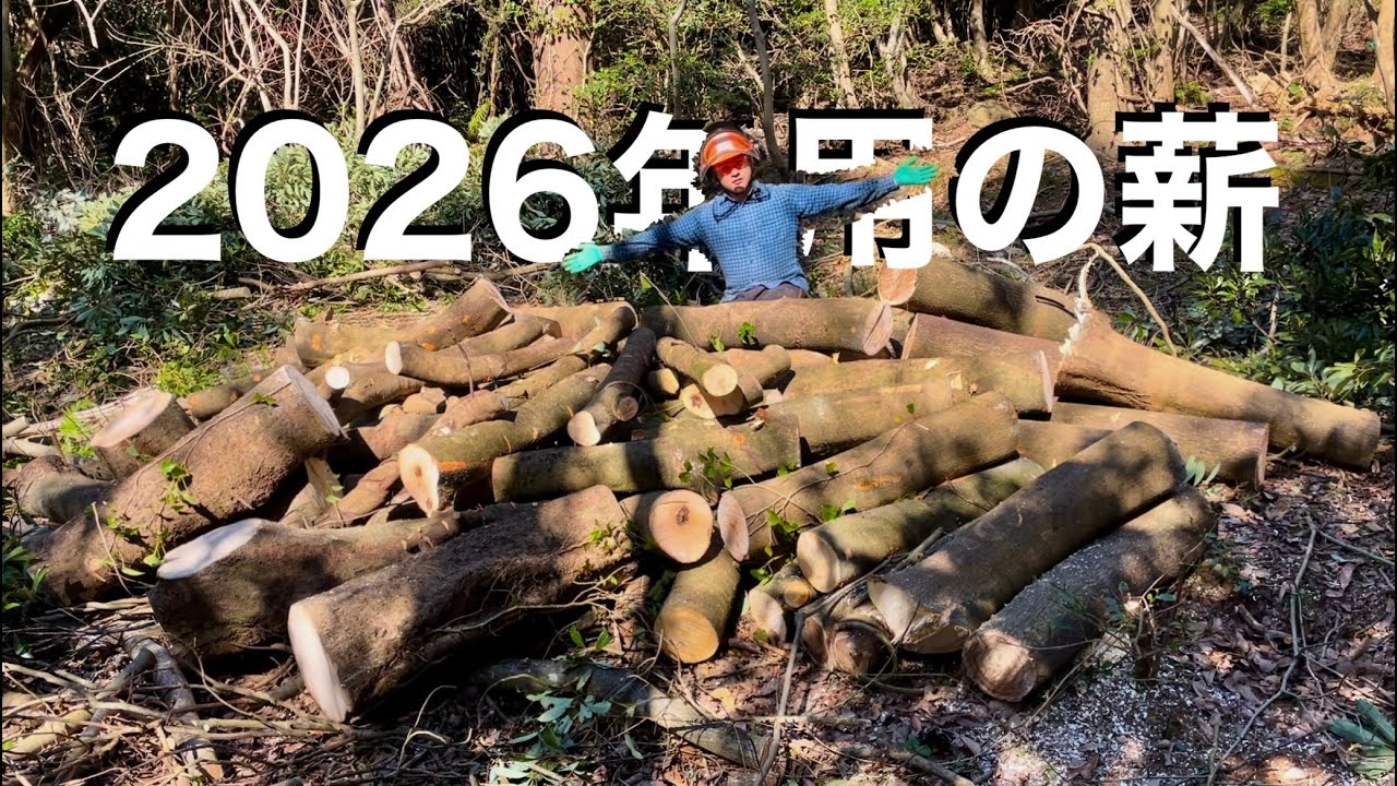 2026シーズン用の薪を集めよう。農地に勝手に生えた広葉樹を倒して薪集め。