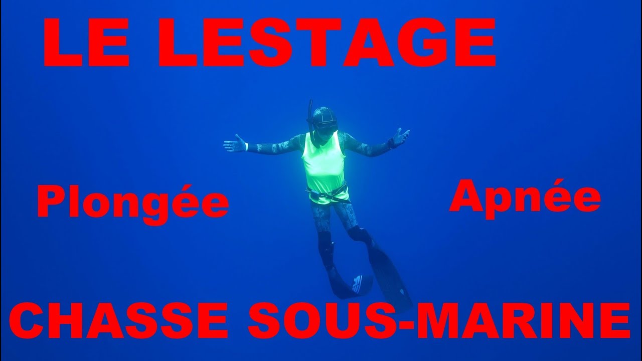 64🐟 LE LESTAGE & CEINTURE DE PLOMBS 🐟 Plongée, Apnée, Chasse sous-marine - partie 1/2 - 