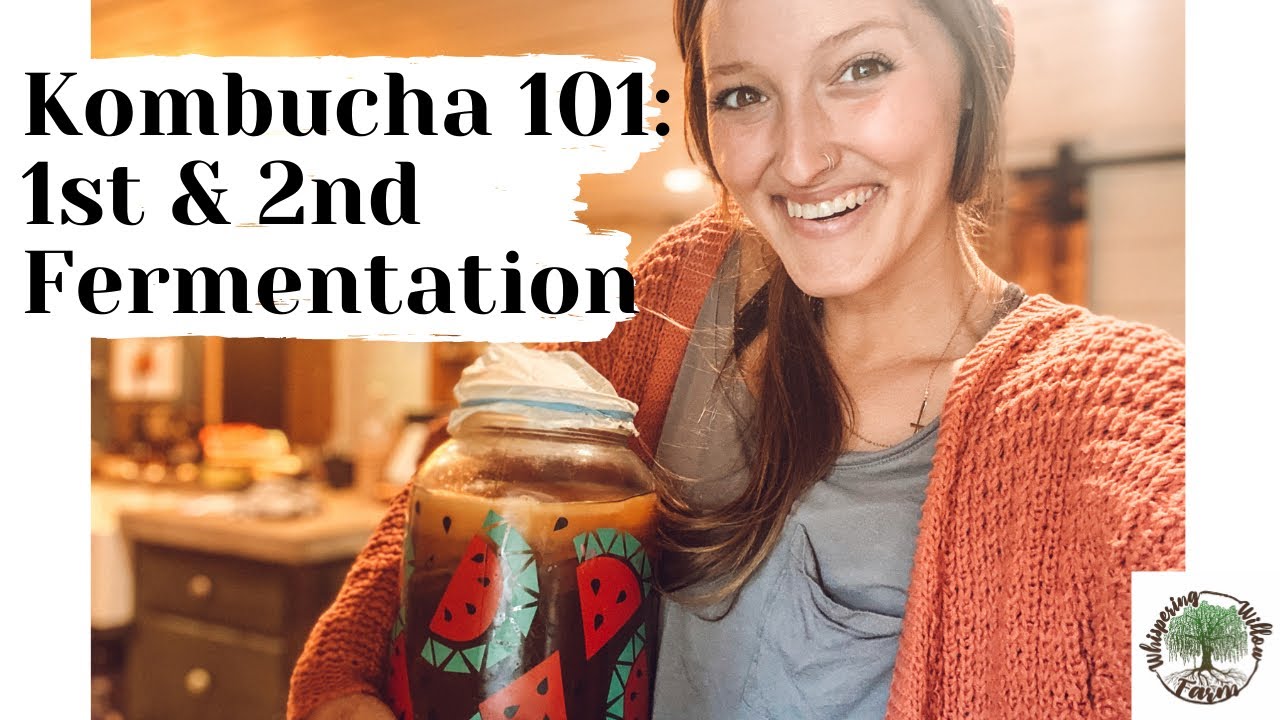 Kombucha 101: 1st & 2nd Fermentation Process |VLOG