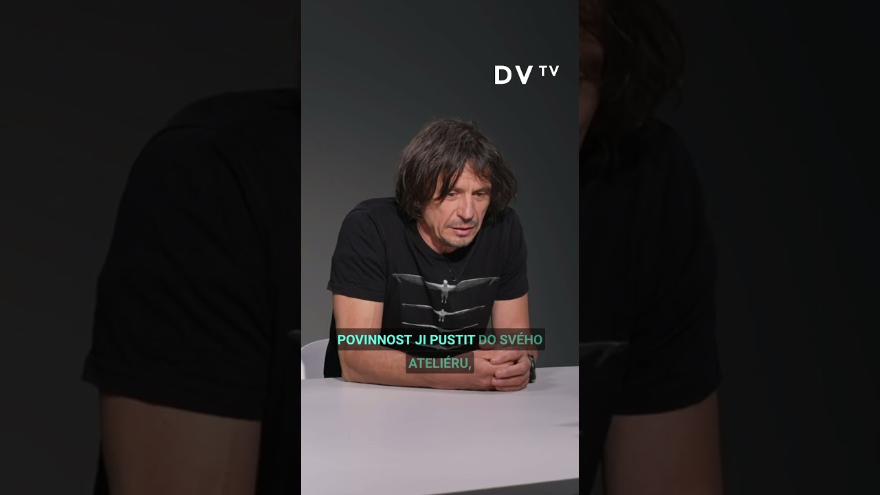 David Čern&yacute;: Jak stalinistka, stěžovat si na mě, že poru&scaron;uju z&aacute;kon, když ji nechci u sebe v ateli&eacute;ru