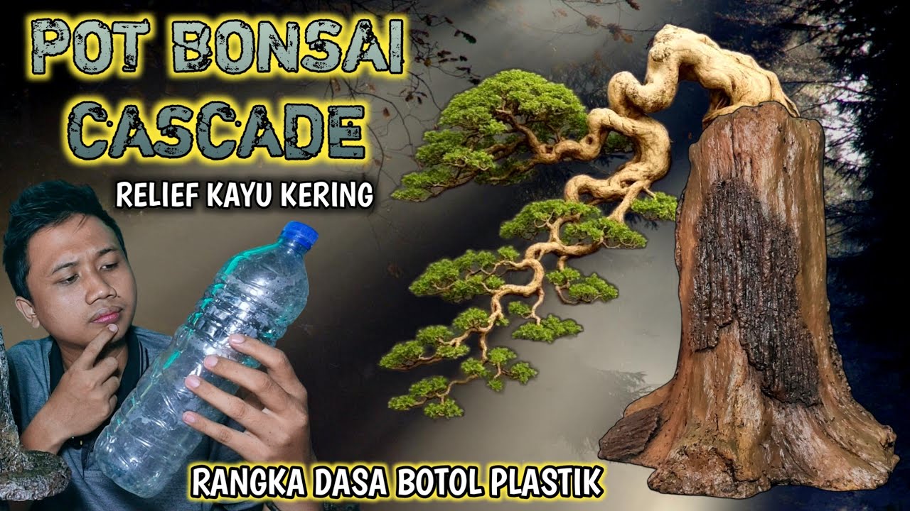 Modal Botol Bekas⁉️CARA SIMPEL MEMBUAT POT BONSAI CASCADE DARI BOTOL BEKAS BENTUK KAYU KERING‼️#pot