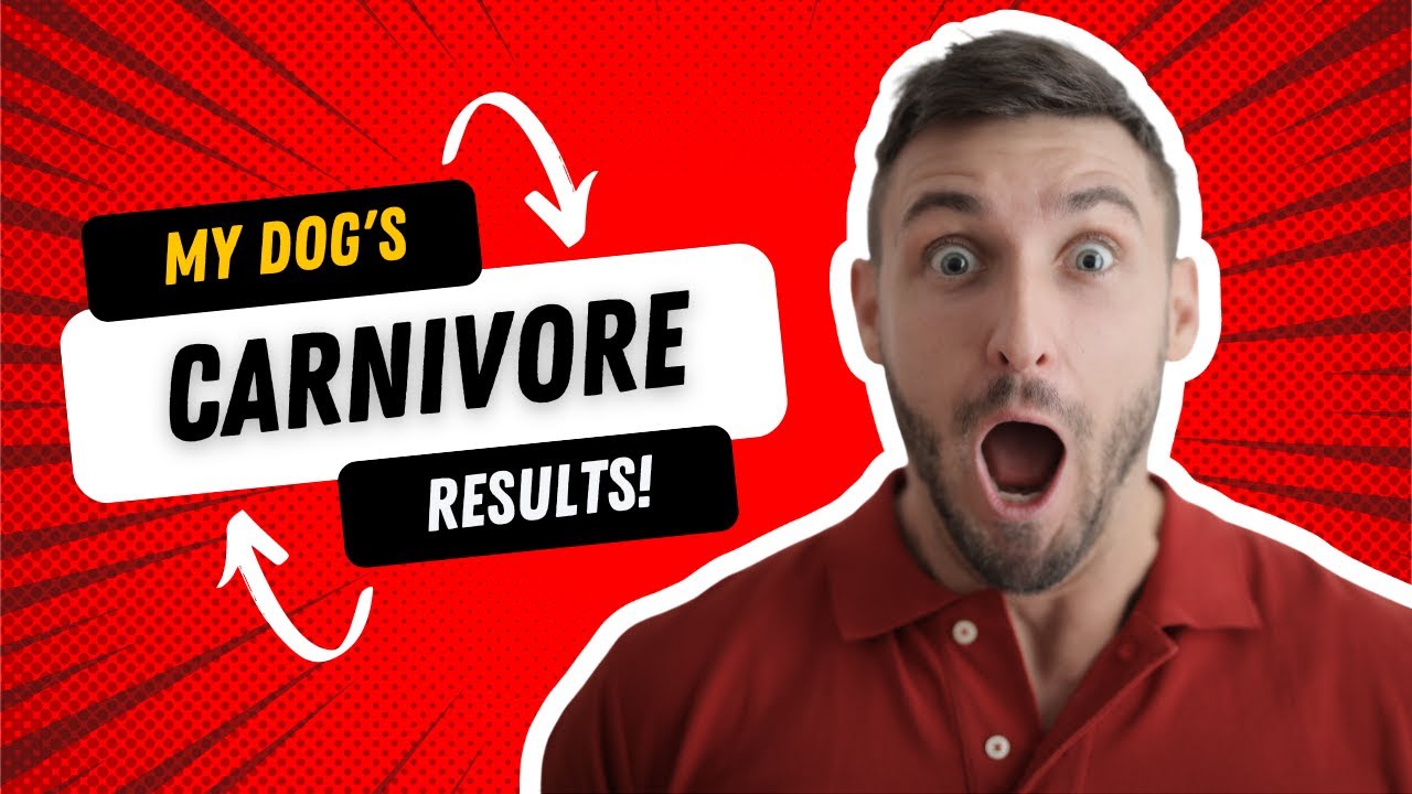 I put my dog on a carnivore diet and you wont believe it