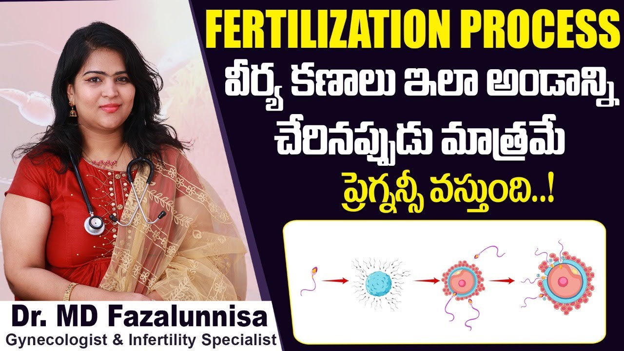 కణాలు ఇలా అండాన్ని చేరితేనే | Sperm and Egg Fertilization Process in Telugu | Hira Fertility Center