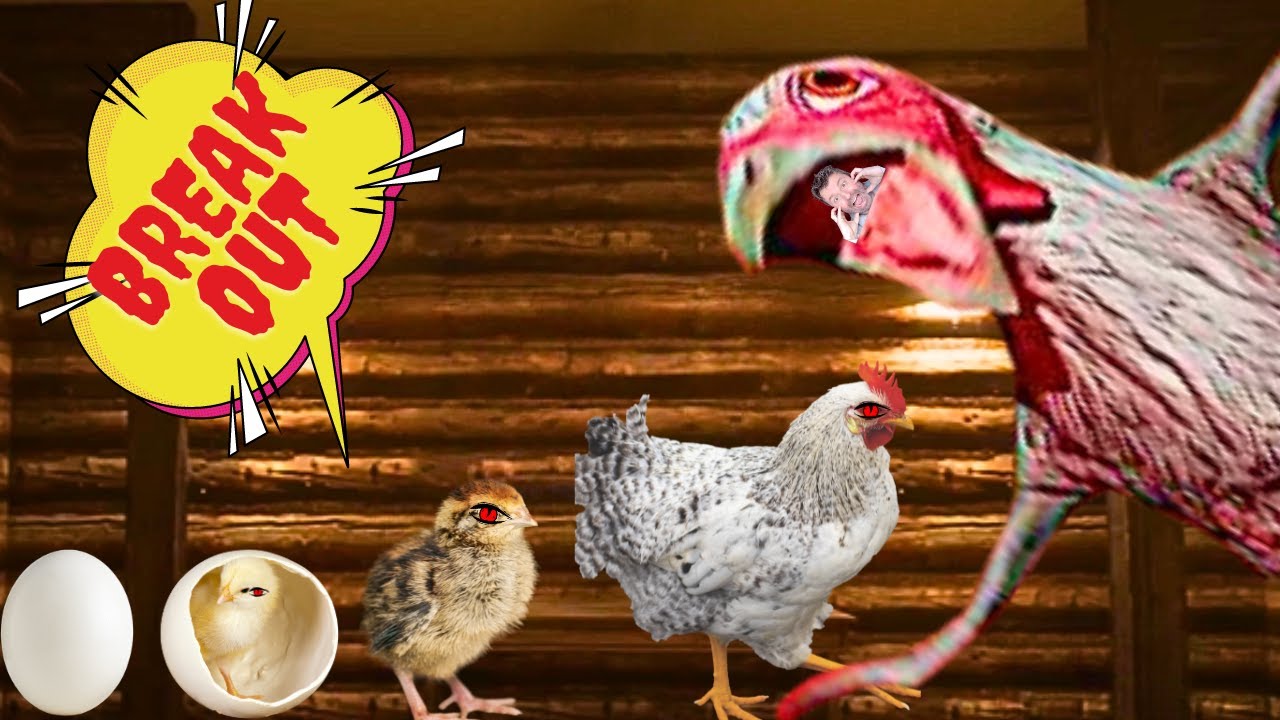 We MUST BREAKOUT !!!! Chicken Feet breakout #part3