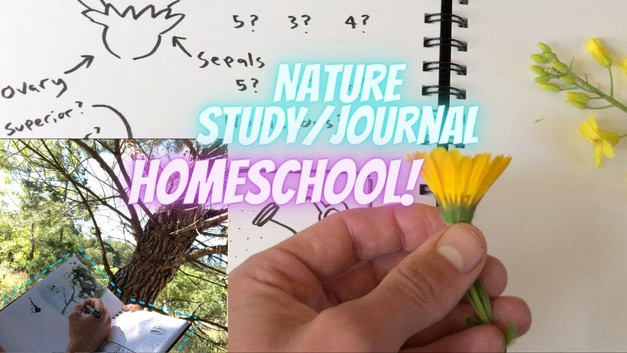 Nature Journaling Homeschool: Live with Real Parents!