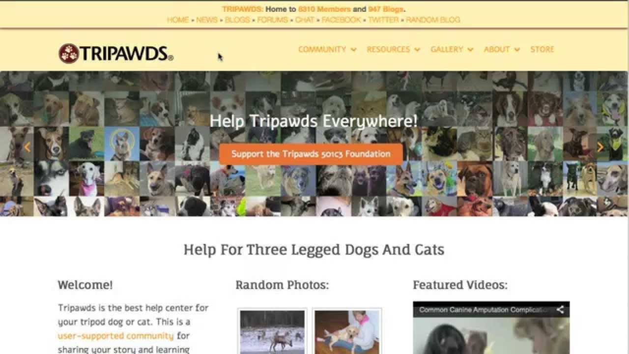 Tripawds Community Website Trailer