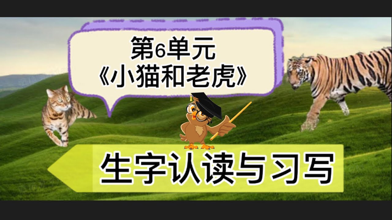 【三年级 华文】单元6《小猫和老虎》【生字认读与习写】