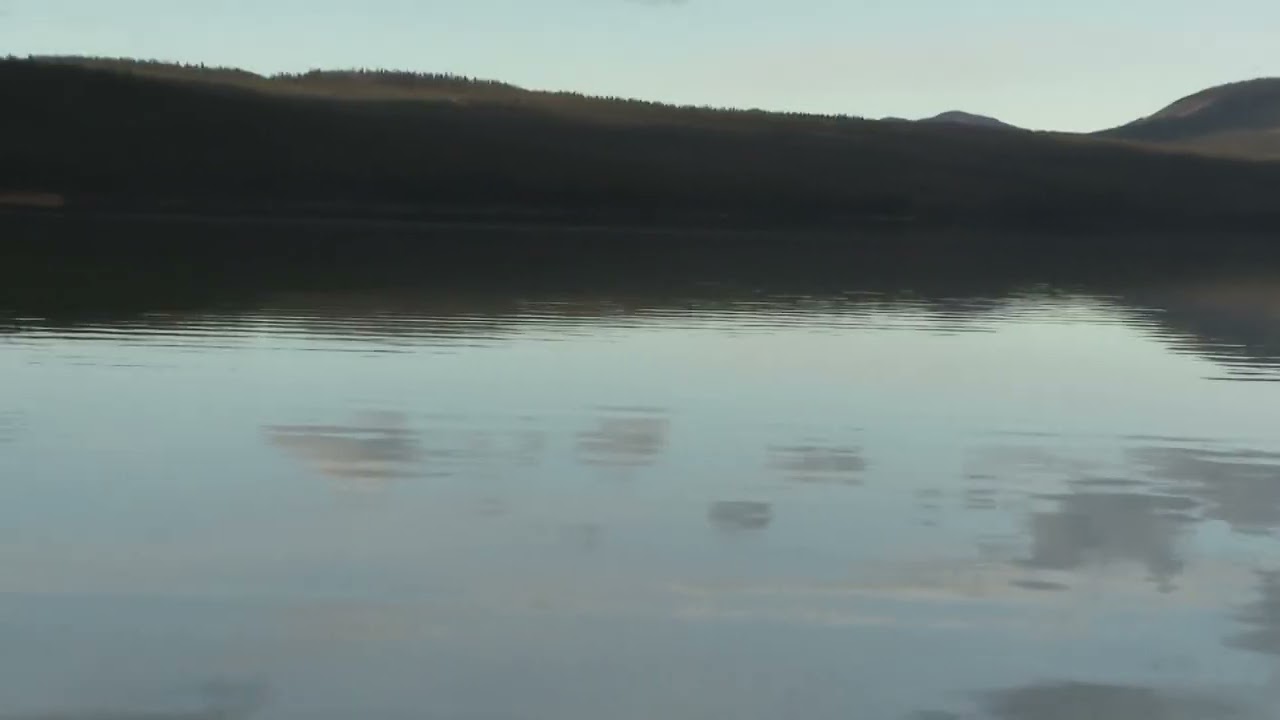 A Winter Lake in Yukon | Bare Trees & Misty Mountains | Peaceful Nature