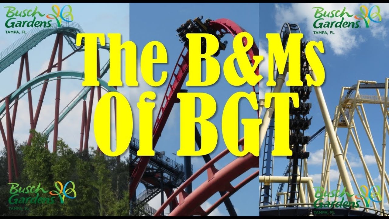 The B&Ms of BGT