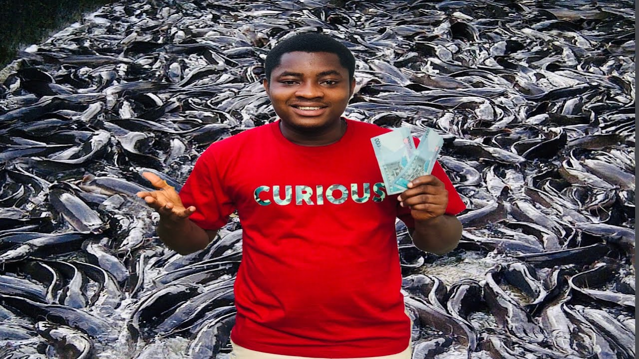 He Started Catfish Farming with Ghc 200($35) Right After National Service in Ghana | Lartman Farms.